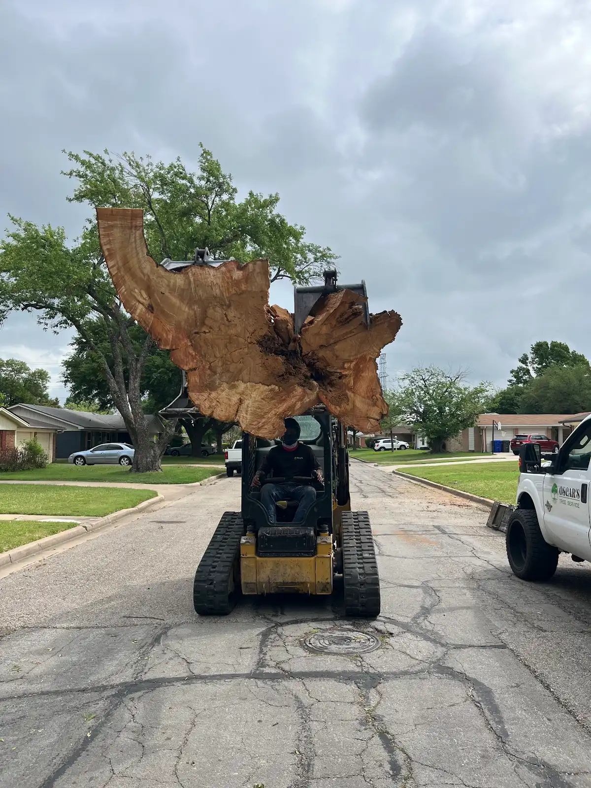 Commercial Tree Services in Waco TX