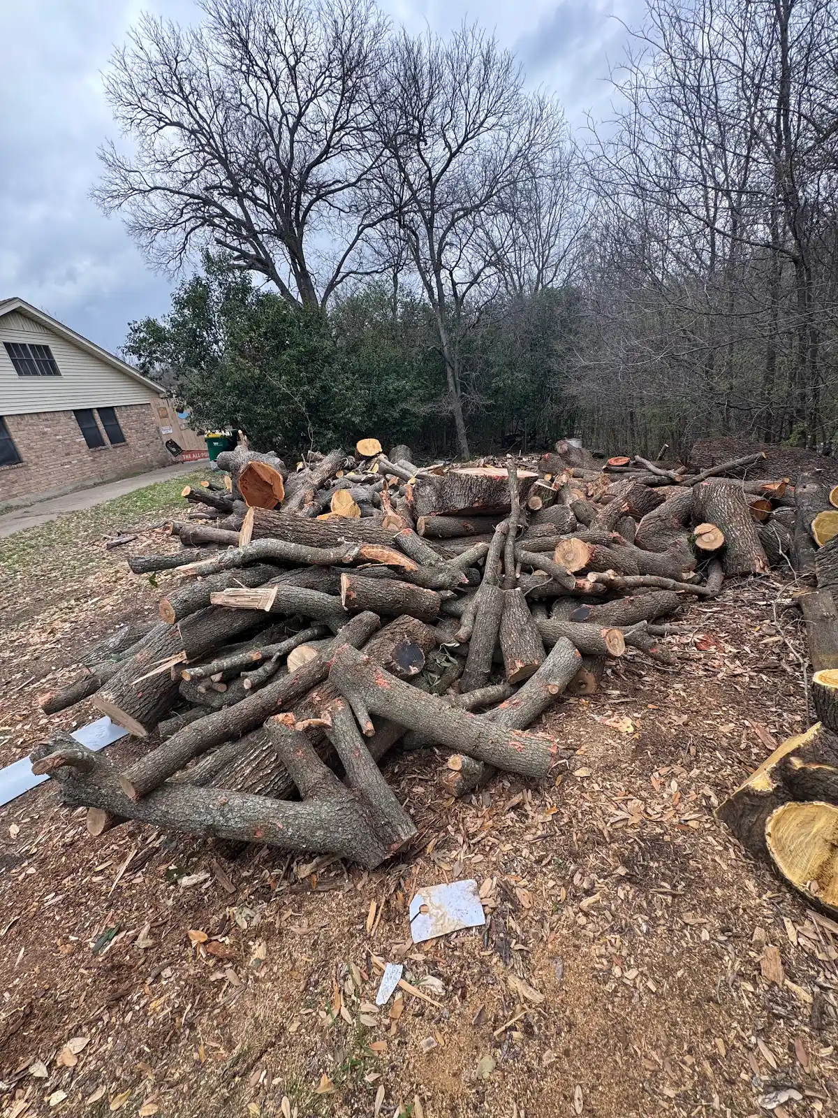 Land Clearing in Waco TX