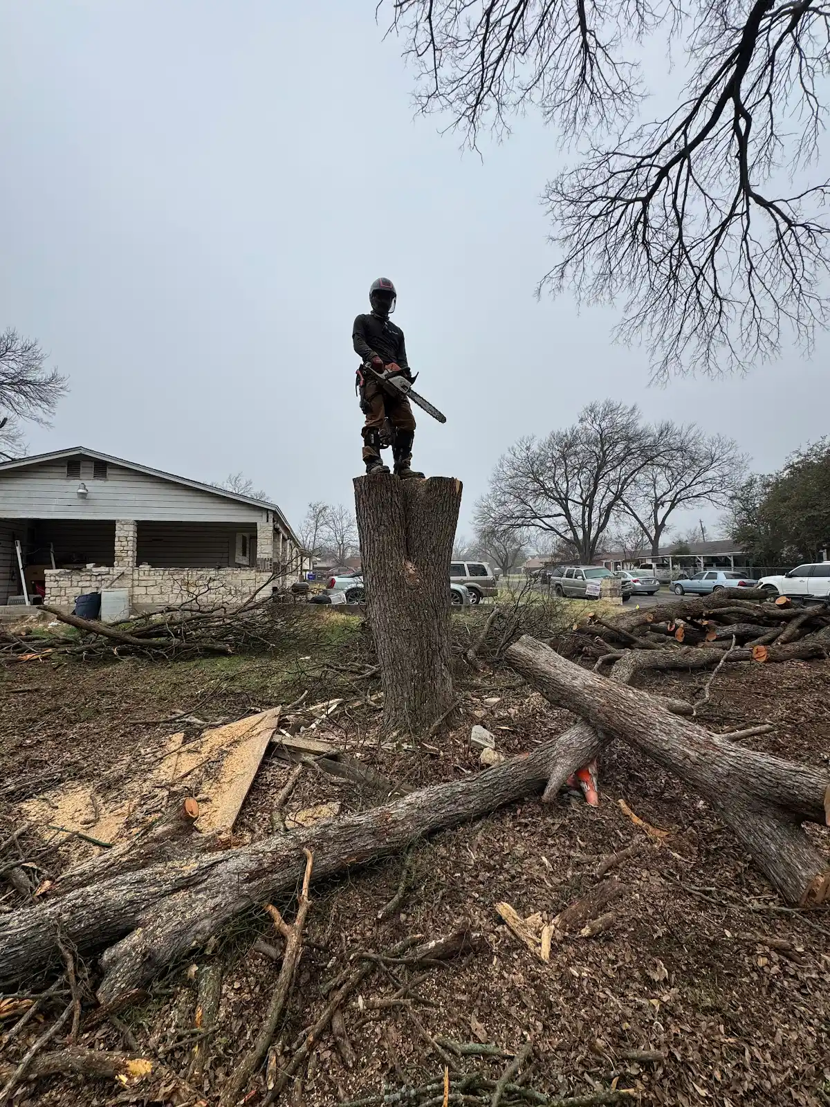 Tree Trimming & Pruning in Waco TX